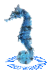 Association L'Ecume Bleue